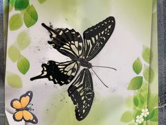 -上海昆虫博物馆