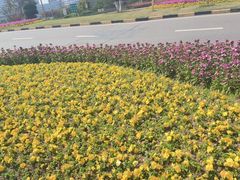 -塞上张记桂林米粉(金凤万达店)