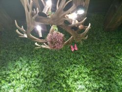 -V-STAR威斯达•高级私人定制