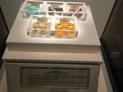 -南越王博物院