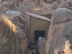 -昆明动物园