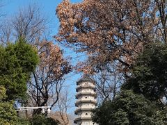 -灵谷景区
