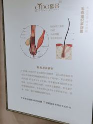 -熙朵美学植发·连锁品牌