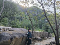 -大岭沟猕猴桃谷风景区