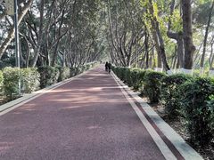 -攀枝花公园