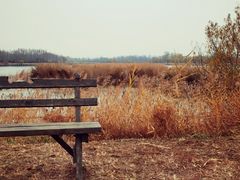 -野鸭湖国家湿地公园