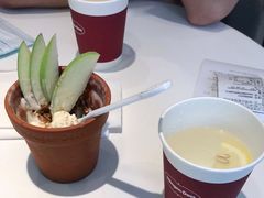 -哈根达斯(陆家浜路店)