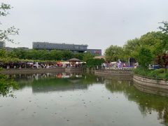 -嘉定紫藤园