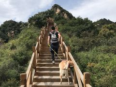 -大岭沟猕猴桃谷风景区