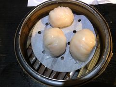 -糖朝(尖沙咀店)