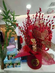 -美凰芳华悦颜产后健康管理中心