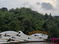 -西双版纳原始森林公园