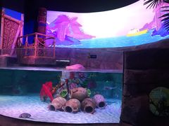 -沈阳海洋探索中心