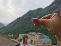 -三清山希尔顿度假酒店