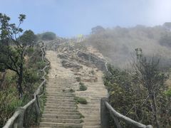 -梧桐山风景名胜区