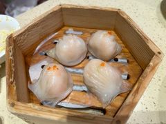 -正哥点心皇子(旺城广场店)