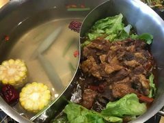 -手选潮汕鲜活牛肉火锅(二七广场店)