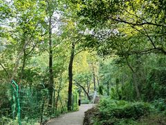 -浮山风景名胜区