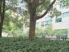 -上海电影博物馆