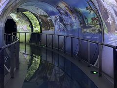 -房山世界地质公园博物馆