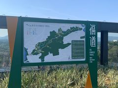 -梅峰山地公园