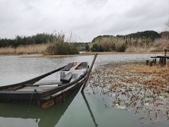 -沙家浜风景区