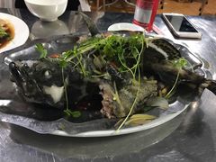 石斑鱼-QQ海鲜餐厅