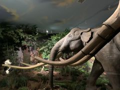 -湖南省地质博物馆