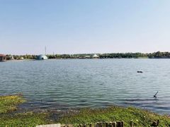 -上海都市菜园