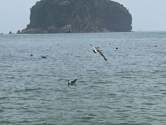 -棒棰岛宾馆景区