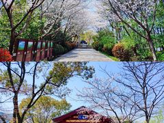 -长广溪湿地公园