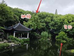 -叶家花园