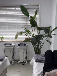 -上海首尔丽格医疗美容医院