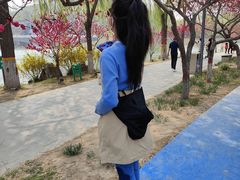 -河北省园博园