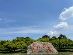 -塘沽森林公园