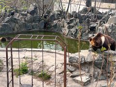 -天津市动物园