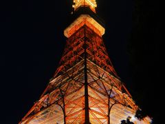 -东京塔海贼王主题公园