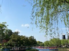 -上海鲜花港