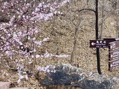 -北京西山国家森林公园