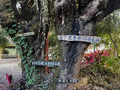 -西双版纳傣族园