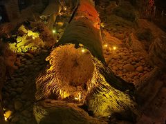 -乐山乌木文化博览苑