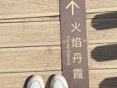 -波浪谷