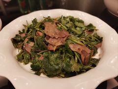 -新南华大酒店(广中店)
