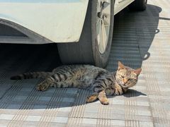 -遂昌金矿国家矿山公园