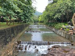 -广州白江湖森林公园