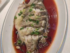 清蒸河鲈鱼-津沽小院(天津之眼店)