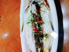 -醉美东江·三文鱼·烧鸡公