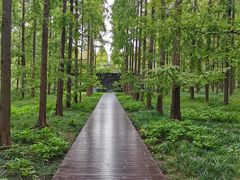 -黄海国家森林公园