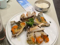 -渔娘渔家丹东海鲜(东直门店)