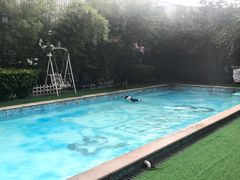 -汪说喵讲宠物乐园宠物酒店(红星美凯龙店)